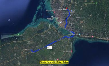 Titled 3,972 sqm - Panglao Island, Bohol