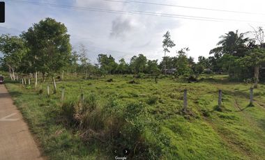 Titled 3,972 sqm - Panglao Island, Bohol