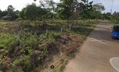 Titled 3,972 sqm - Panglao Island, Bohol