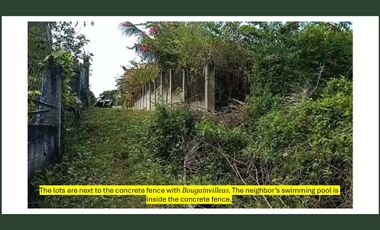 Titled 1,000 sqm. residential lot for sale in Dauis, Panglao Island, Bohol, PH