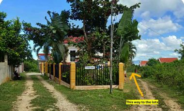 Titled 1,000 sqm. residential lot for sale in Dauis, Panglao Island, Bohol, PH
