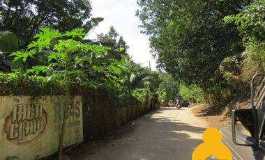 For Sale Raw Agricultural Lot in Limay Bataan