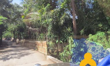 For Sale Raw Agricultural Lot in Limay Bataan