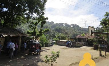 For Sale Raw Agricultural Lot in Limay Bataan