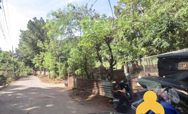 For Sale Raw Agricultural Lot in Limay Bataan