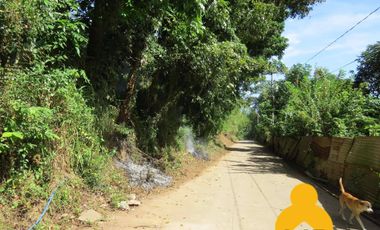 For Sale Raw Agricultural Lot in Limay Bataan