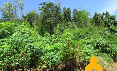 For Sale Raw Agricultural Lot in Limay Bataan