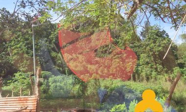 For Sale Raw Agricultural Lot in Limay Bataan