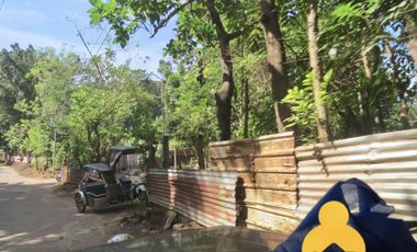 For Sale Raw Agricultural Lot in Limay Bataan