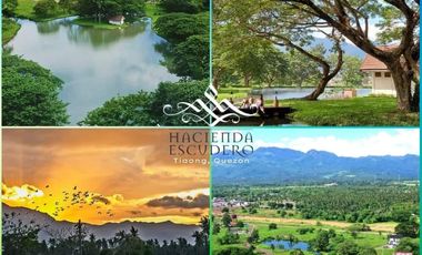 For Sale: Residential Farm Lot in Hacienda Escudero, Tiaong, Quezon