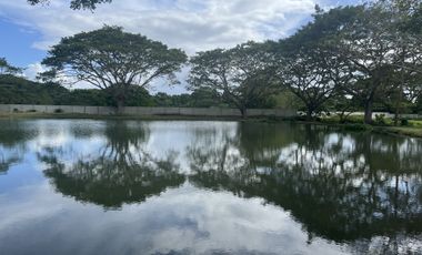 For Sale: Residential Farm Lot in Hacienda Escudero, Tiaong, Quezon