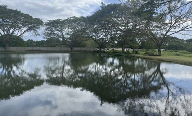 For Sale: Residential Farm Lot in Hacienda Escudero, Tiaong, Quezon