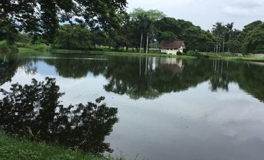 For Sale: Residential Farm Lot in Hacienda Escudero, Tiaong, Quezon