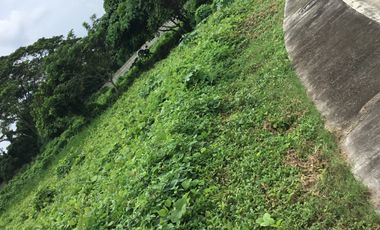 For Sale: Residential Farm Lot in Hacienda Escudero, Tiaong, Quezon