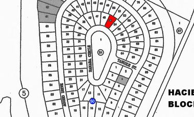 FOR SALE: 400 sqm Lot in Las Haciendas de Luisita, Tarlac