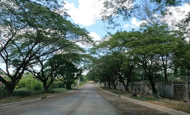 FOR SALE: 400 sqm Lot in Las Haciendas de Luisita, Tarlac