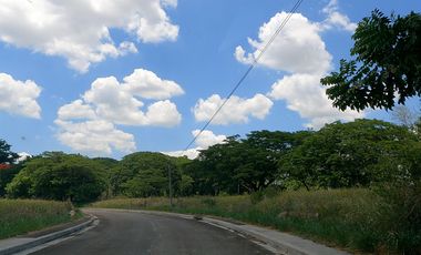 FOR SALE: 400 sqm Lot in Las Haciendas de Luisita, Tarlac