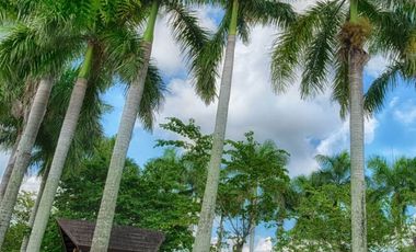 Pramana House and Lot Pre-selling for turnover this year
