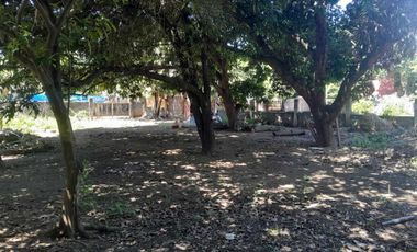 634 sqm Residential Lot For Sale in Carmen East, Rosales Pangasinan