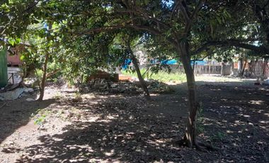 634 sqm Residential Lot For Sale in Carmen East, Rosales Pangasinan