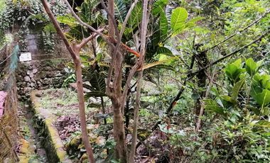 PROPERTY FOR SALE IN BAGUIO CITY