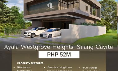 Ayala Westgrove Heights Brand New Modern House and Lot for Sale