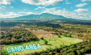 Mountain View Lot un Dauin