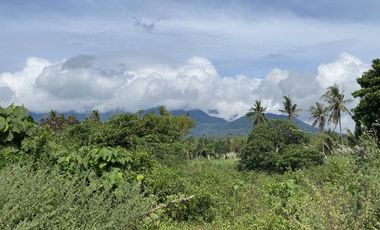 Mountain View Lot un Dauin