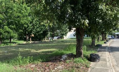 Residential Lot for Sale in Clark Manor Subd. Dau Mabalacat Pampanga