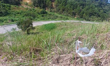 Pinewoods Sta. Lucia  subdivision 409 sq.m. overlooking lot at Baguio City