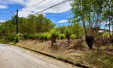 Below Market Value Vacant Residential Lot UPS 4 Paranaque
