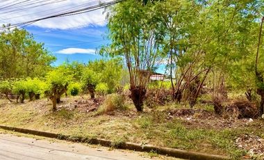 Below Market Value Vacant Residential Lot UPS 4 Paranaque