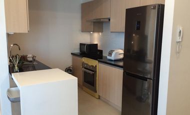 Gorgeous 2 Bedroom Condo For Rent - Two Serendra, Meranti, BGC, Taguig City