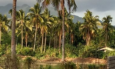 Lipa Land with Mountain Views - 52197sqm Residential Zoned Lot - 261m PHP