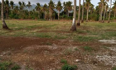 Lipa Land with Mountain Views - 52197sqm Residential Zoned Lot - 261m PHP