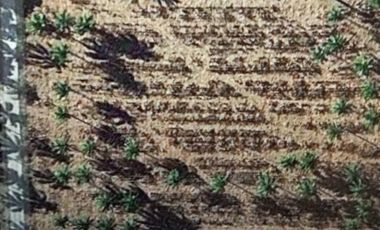 Lipa Land with Mountain Views - 52197sqm Residential Zoned Lot - 261m PHP