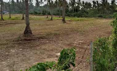 Lipa Land with Mountain Views - 52197sqm Residential Zoned Lot - 261m PHP