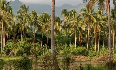 Lipa Land with Mountain Views - 52197sqm Residential Zoned Lot - 261m PHP