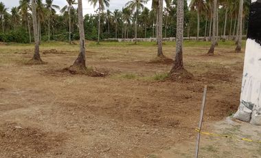 Lipa Land with Mountain Views - 52197sqm Residential Zoned Lot - 261m PHP