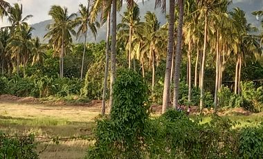 Lipa Land with Mountain Views - 52197sqm Residential Zoned Lot - 261m PHP