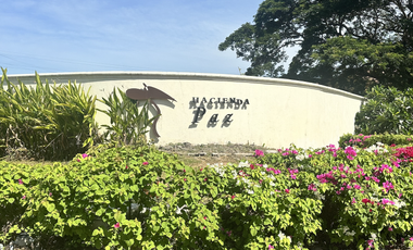 Las Haciendas Tarlac Residential Lots Available For Sale Narciso Realty