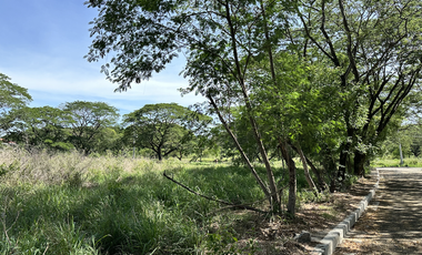 Las Haciendas Tarlac Residential Lots Available For Sale Narciso Realty