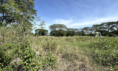 Las Haciendas Tarlac Residential Lots Available For Sale Narciso Realty