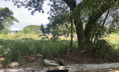 Las Haciendas Tarlac Residential Lots Available For Sale Narciso Realty