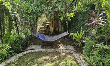 Fully Landscaped Semi-Furnished 801sqm with 2 Bedrooms and Covered Garage