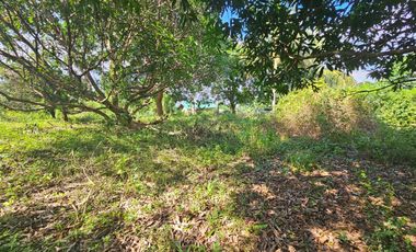 Titled lot Overlooking Manila Bay