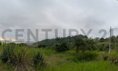 Oportunidad de inversión en AYAMPE