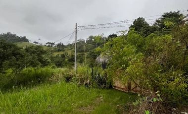 Oportunidad de inversión en AYAMPE