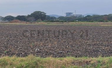 Terreno en Venta Lotización Buijo, Samborondón