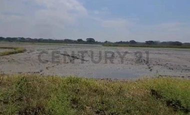 Terreno en Venta Lotización Buijo, Samborondón